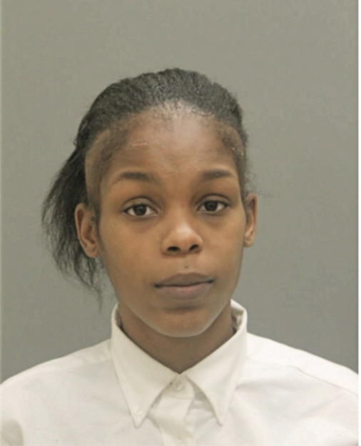 BRIANA L RHODES, Cook County, Illinois