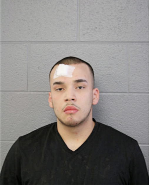 DANIEL A RIVERA, Cook County, Illinois