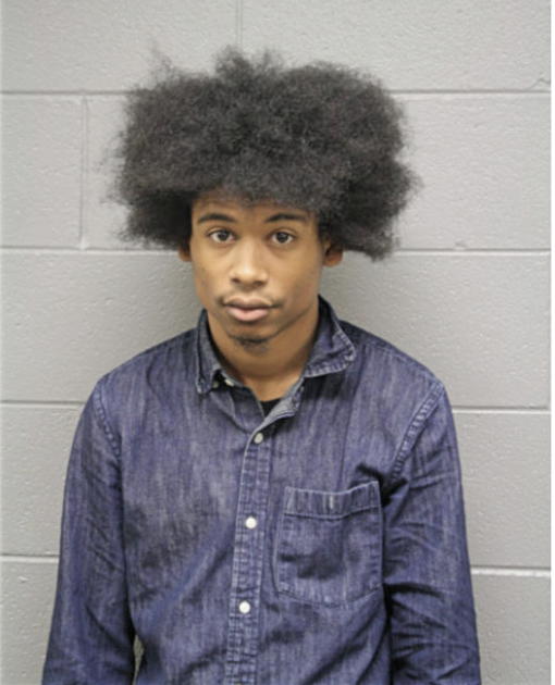 CHRISTIAN P ROBINSON, Cook County, Illinois