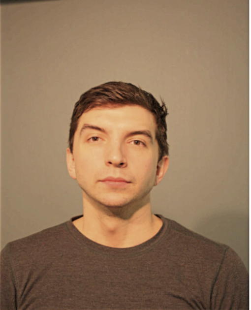 DANIEL J ROOK, Cook County, Illinois