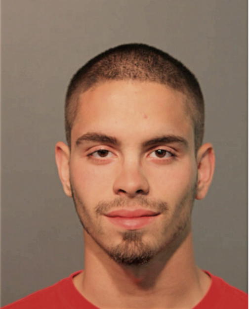ANGEL D RUIZ, Cook County, Illinois