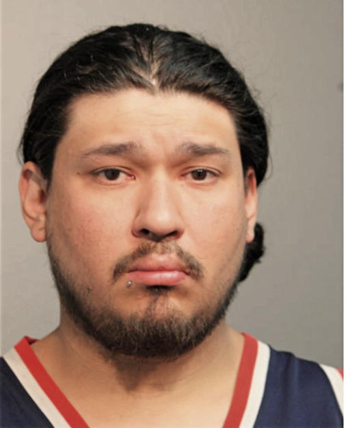 ANDREW G SEAT, Cook County, Illinois
