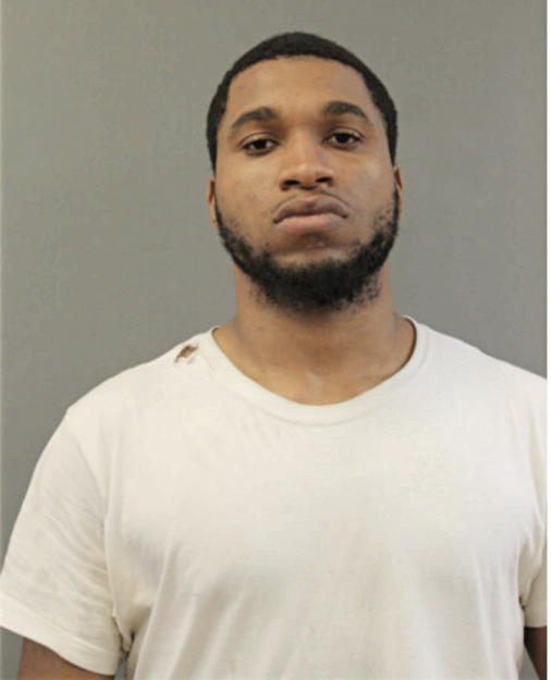 MICHAEL L STEELE, Cook County, Illinois