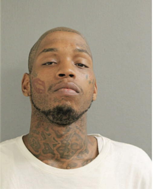 RICKI L TAYLOR, Cook County, Illinois