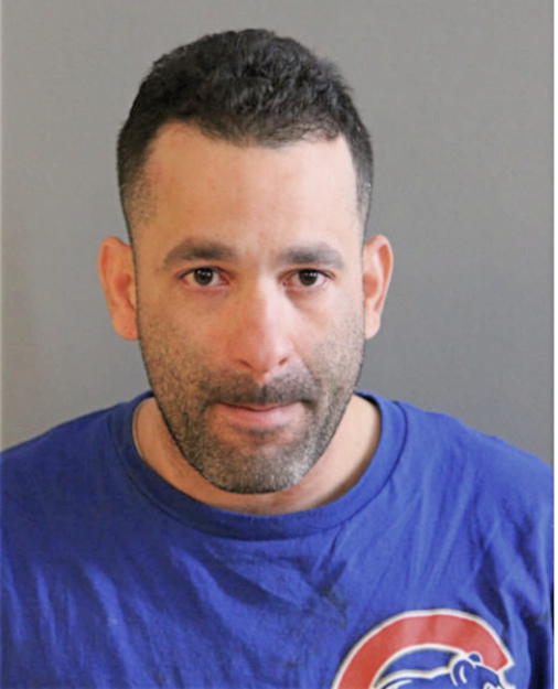 NELSON G TORRES, Cook County, Illinois