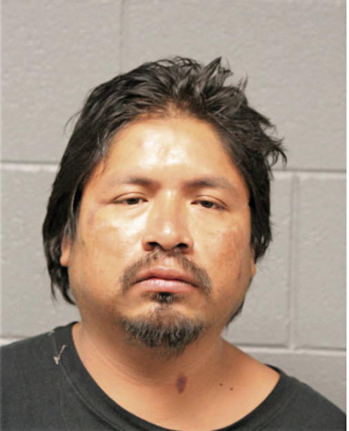 JUAN P VEGA, Cook County, Illinois
