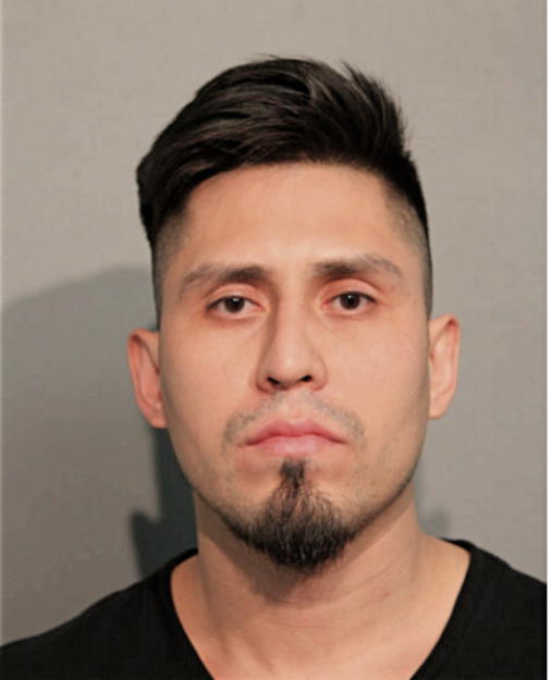 LUIS F ZEPEDA-PEREZ, Cook County, Illinois