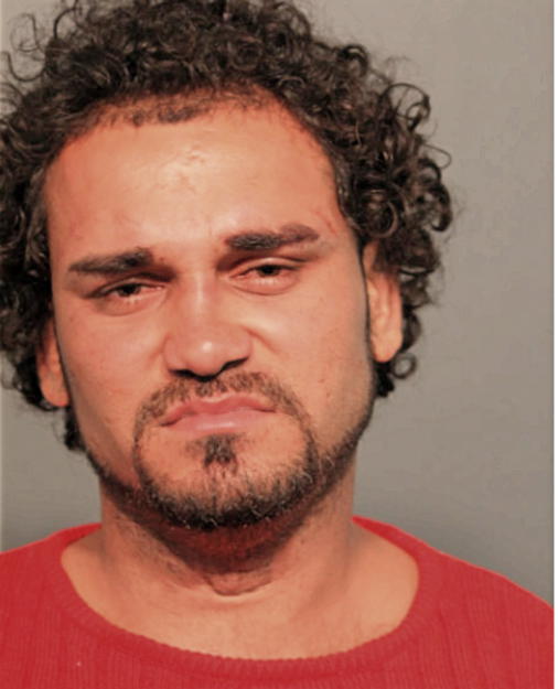 JONATHAN SANTOS ALICEA, Cook County, Illinois