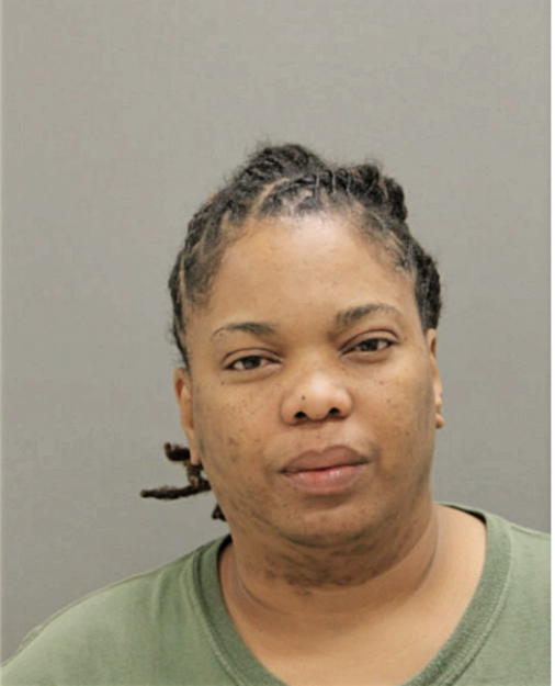 LESLIE N ALLEN, Cook County, Illinois