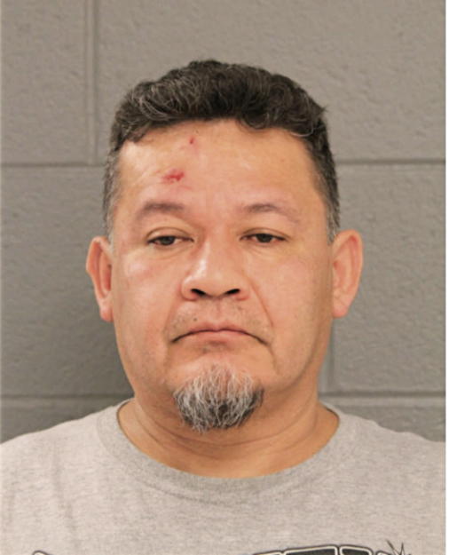 JUAN C ALVARADO, Cook County, Illinois