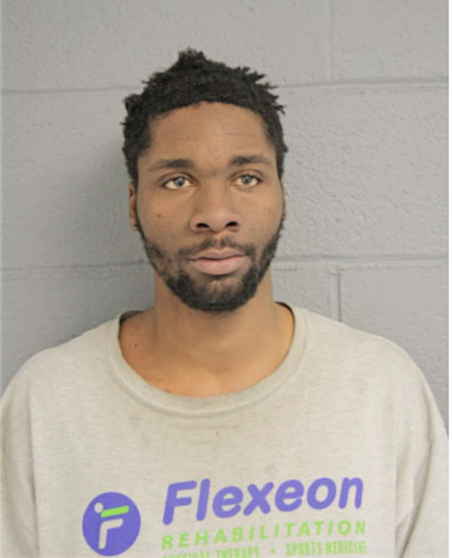 TRIMAINE R ANDERSON, Cook County, Illinois