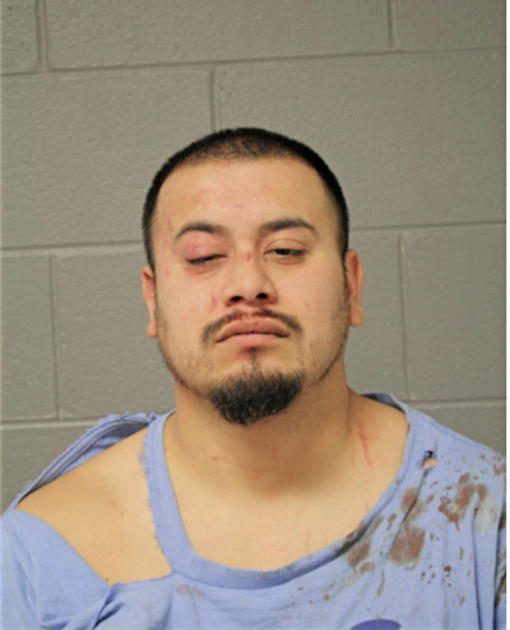 JULIAN ANGUIANO, Cook County, Illinois