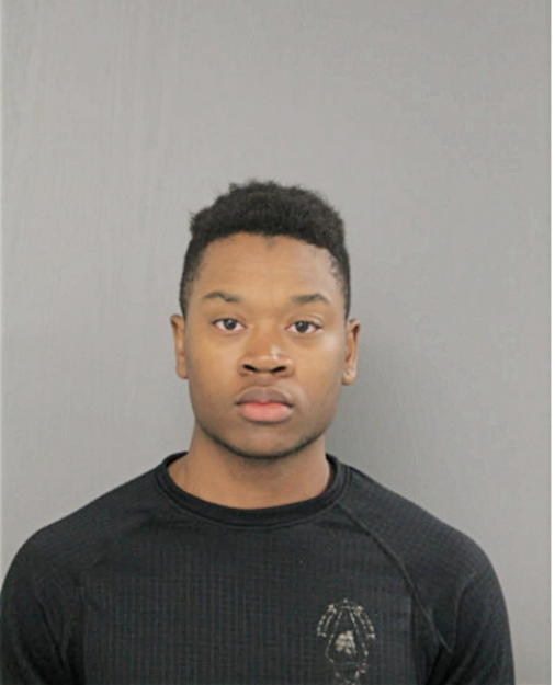 WESTLEY L BROWN, Cook County, Illinois