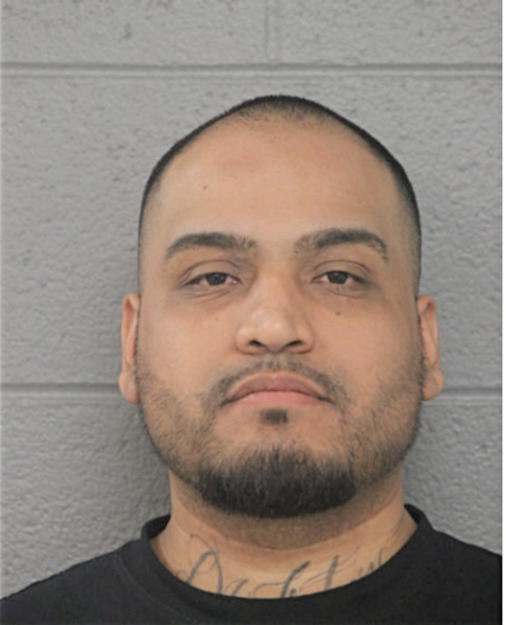 DANIEL CAMARENA, Cook County, Illinois