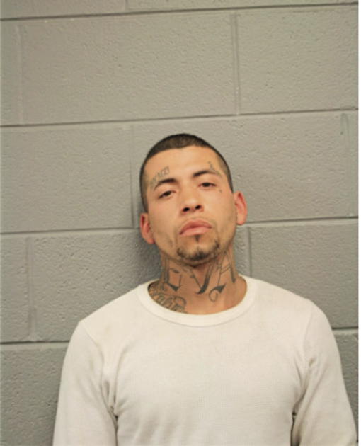 DAVID J CULLINAN, Cook County, Illinois
