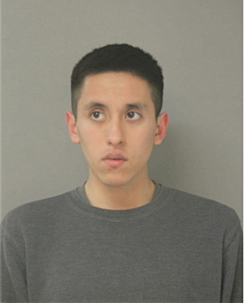 HECTOR D FAVELA, Cook County, Illinois