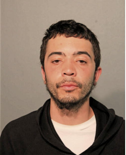 LEONARDO FERNANDEZ, Cook County, Illinois