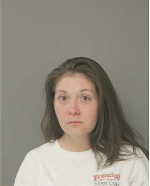 JULIE M FERRARESI, Cook County, Illinois