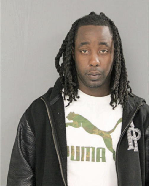 MAURICE G FLEMING, Cook County, Illinois