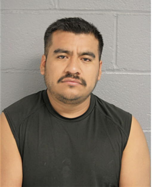DIAZ FORTINO, Cook County, Illinois