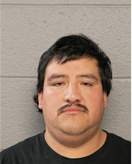 RICARDO GONZALEZ, Cook County, Illinois