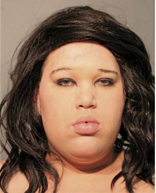 RYAN L HANDZEL, Cook County, Illinois