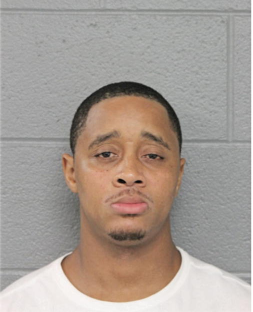 SHAWN A HIBBLER, Cook County, Illinois