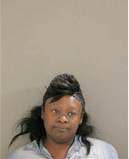 LISA T JOHNSON, Cook County, Illinois