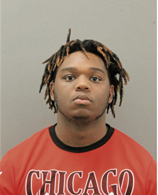 DAVID R JORDAN, Cook County, Illinois
