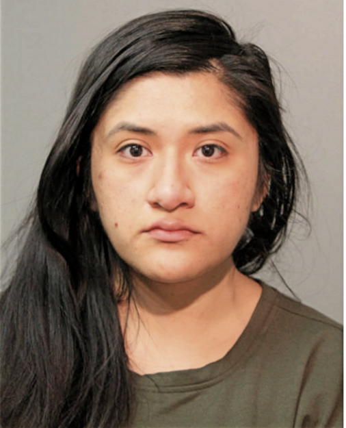 VANESSA LANDA, Cook County, Illinois