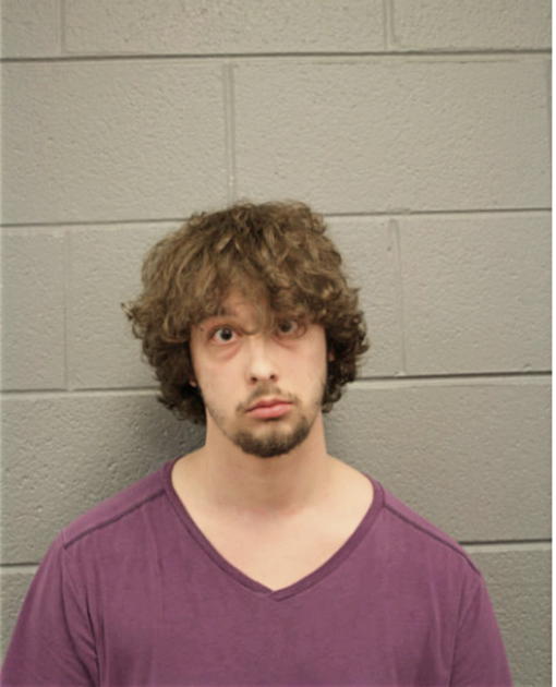 ALEX J LESZCZYNSKI, Cook County, Illinois