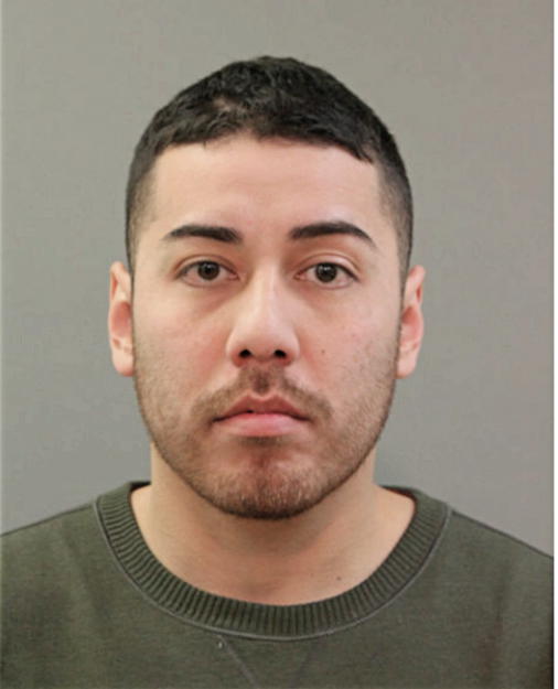RICARDO MARTINEZ, Cook County, Illinois