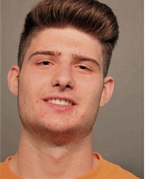 STEFAN MILATOVIC, Cook County, Illinois