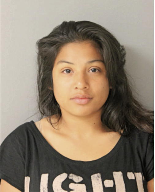 YAJAIRA L NAVA, Cook County, Illinois