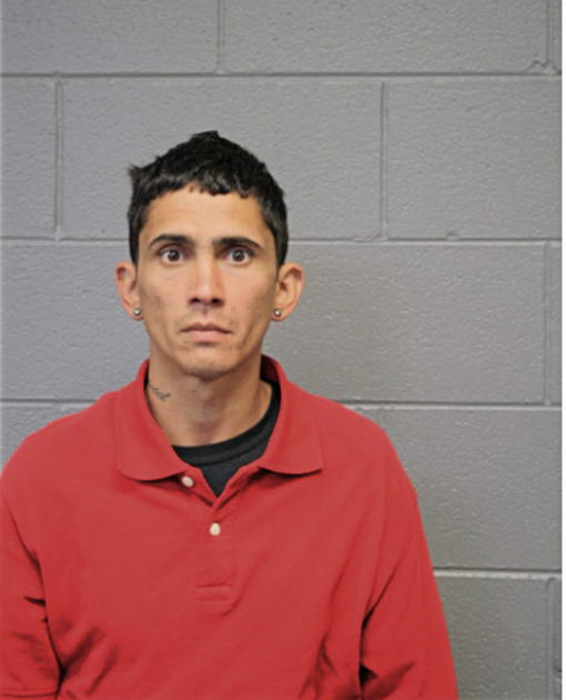 JOSE PAGAN-ORTIZ, Cook County, Illinois