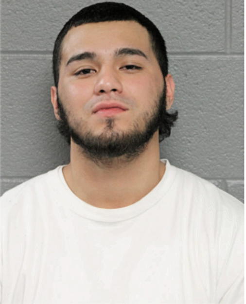 GUSTAVO A PEREZ, Cook County, Illinois