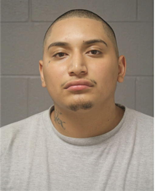 VICTOR A SANJUANERO, Cook County, Illinois