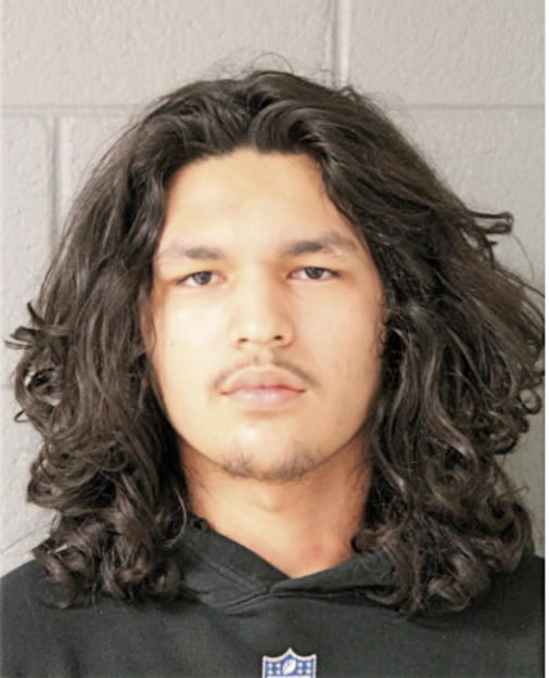 LUIS E TINEJERO, Cook County, Illinois