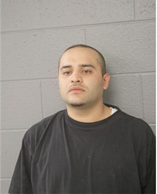 LUIS VEGA, Cook County, Illinois