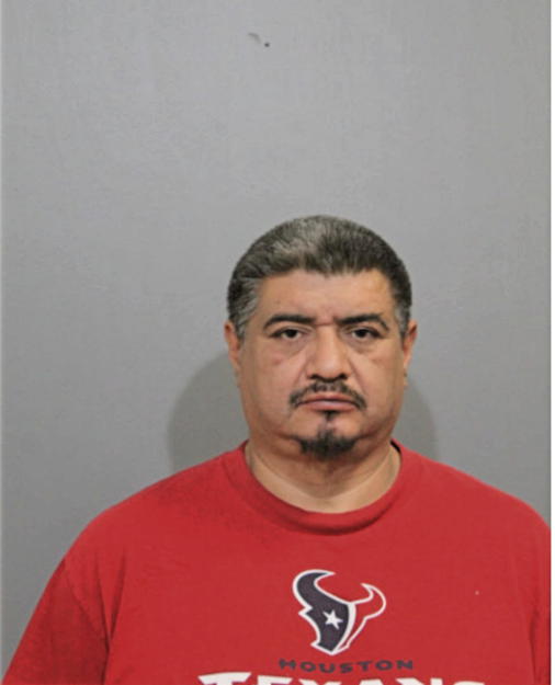 ARMANDO T VENEGAS, Cook County, Illinois