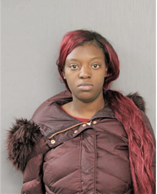 SHAMEKA T WILLIAMS, Cook County, Illinois