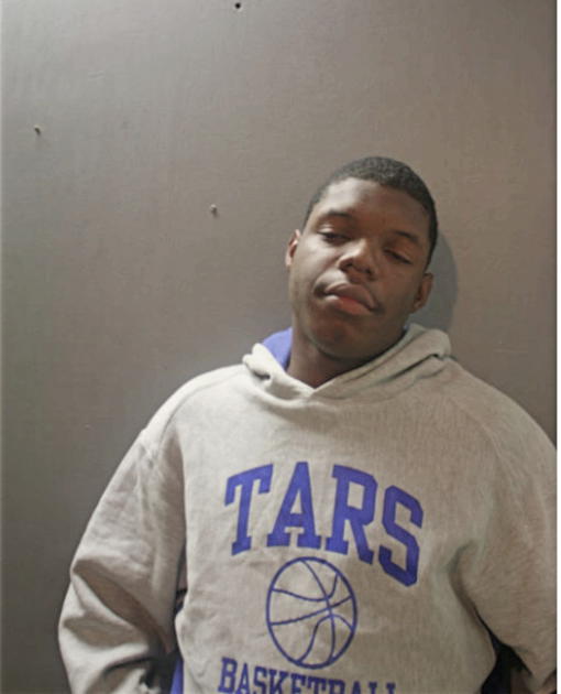 TYRONE O ADAMS, Cook County, Illinois