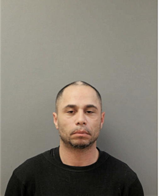 DANIEL E AVILES, Cook County, Illinois