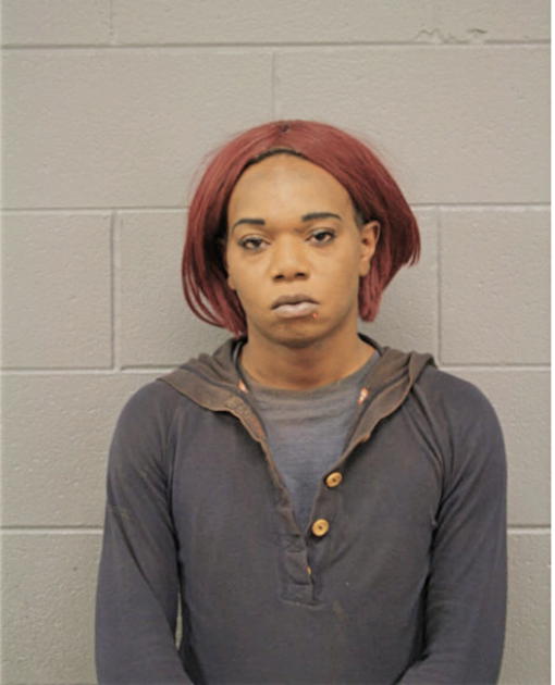 JEREMY B BROWN, Cook County, Illinois