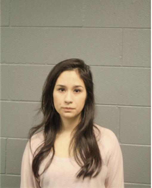 MICHELLE G CENDEJAS, Cook County, Illinois