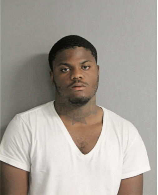 DAVID P DAVIS, Cook County, Illinois