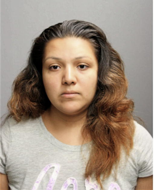 ARACELI DIAZ, Cook County, Illinois