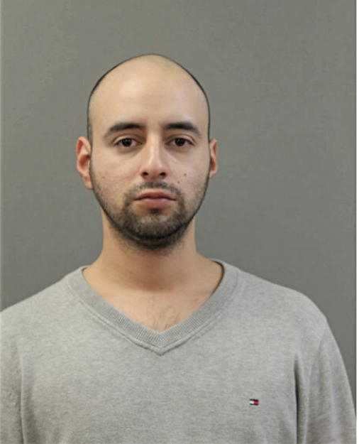 FRANCO DIAZ, Cook County, Illinois