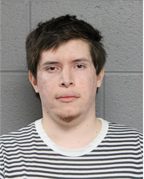 MICHAEL G ESPINOSA, Cook County, Illinois