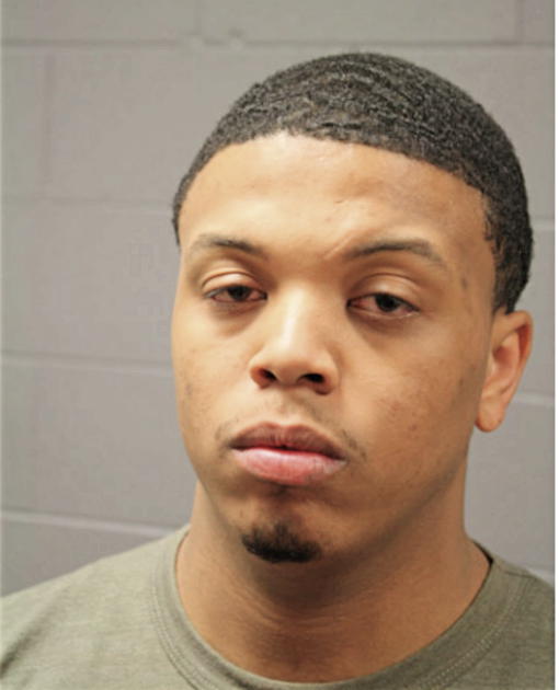RAY A FLEMING, Cook County, Illinois